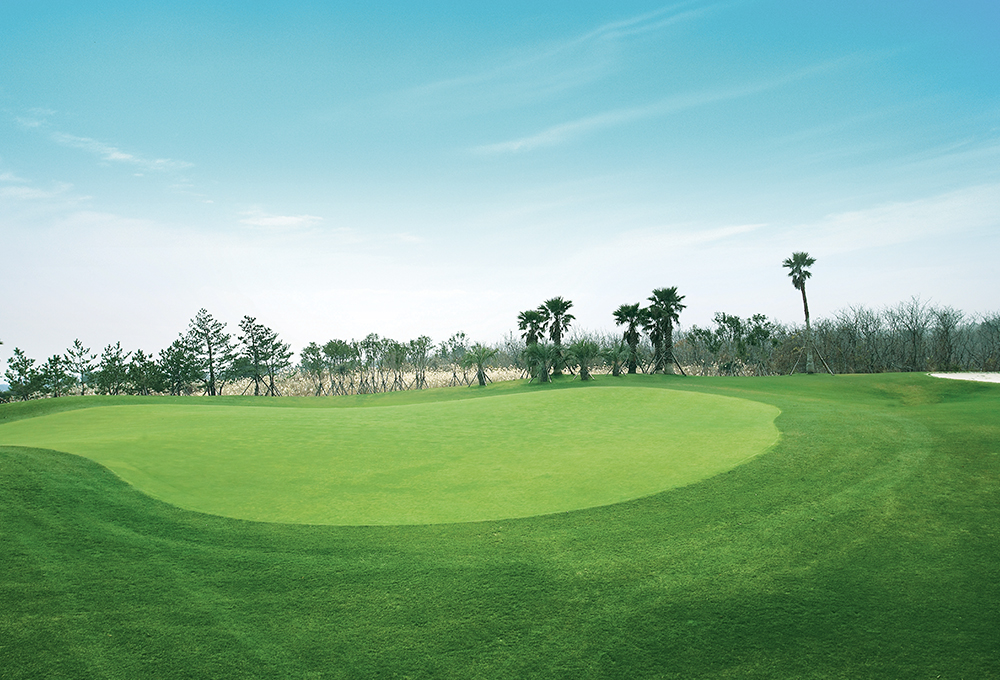 부영cc 코스전경