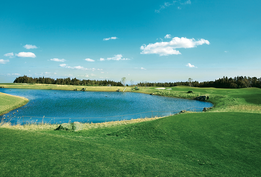 부영cc 코스전경