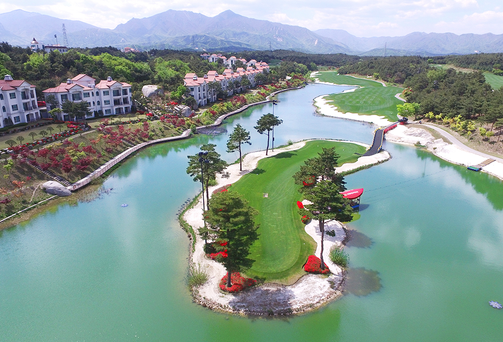 파인리즈봄사진2021