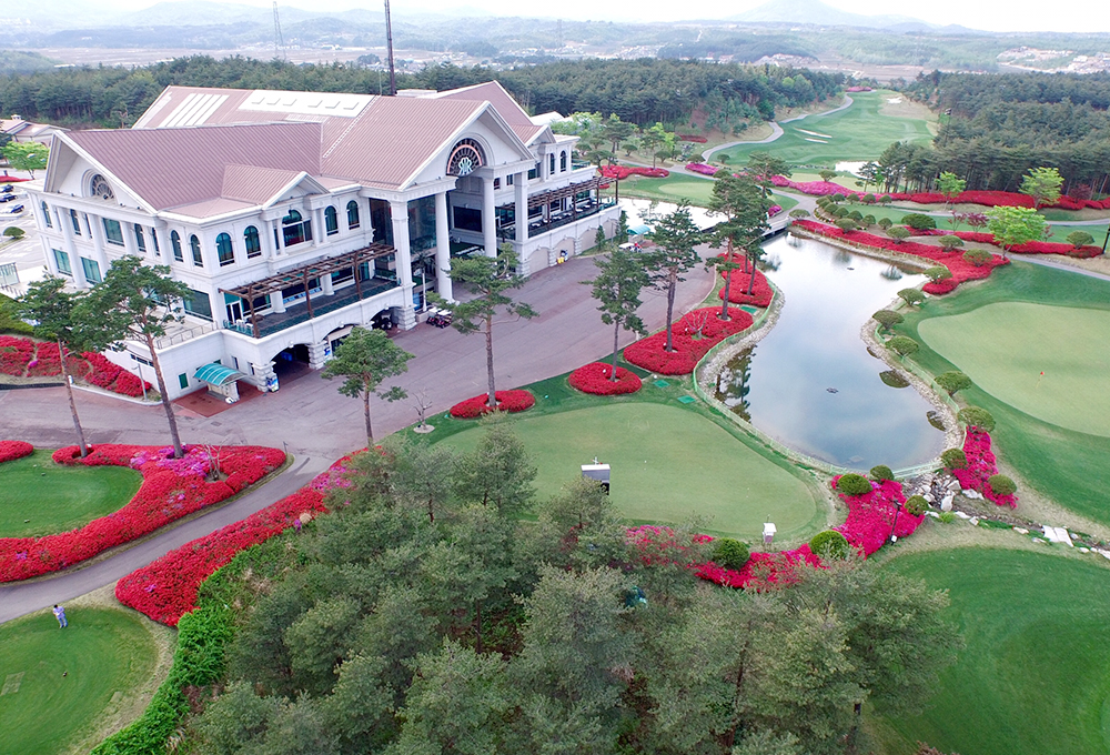 파인리즈봄사진2021